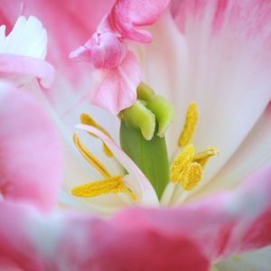 Meet your Posher, Jodi